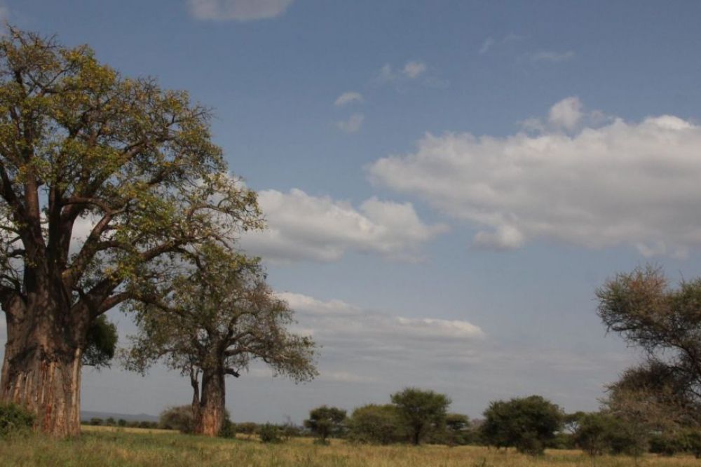 20130611132710IMG_4741