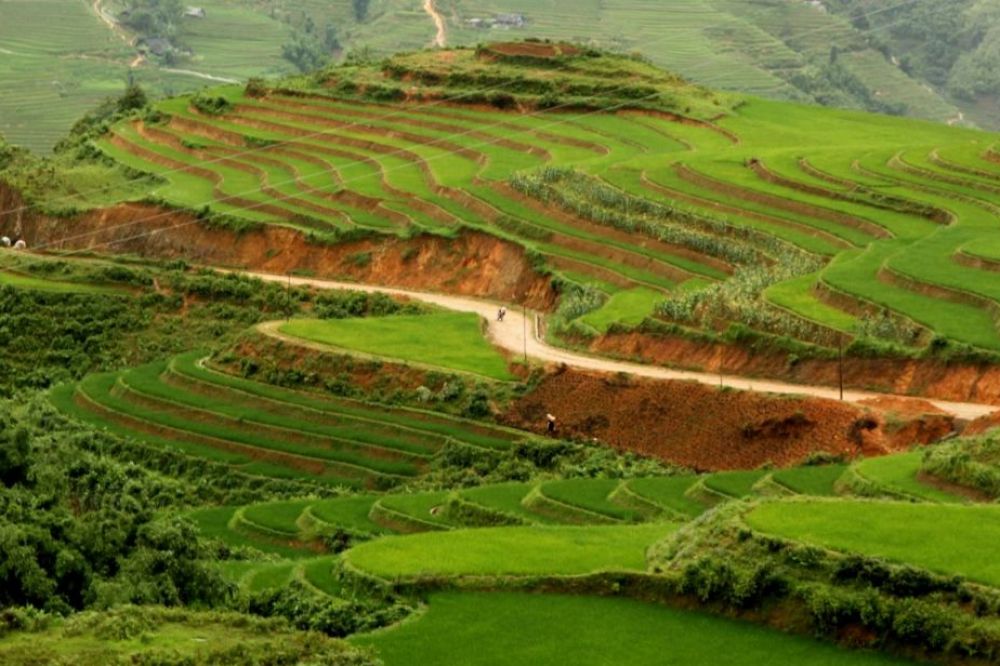 20120702-110814-IMG_3701