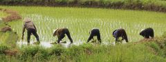 Vietnam - ze severu na jih - MK Klatovy