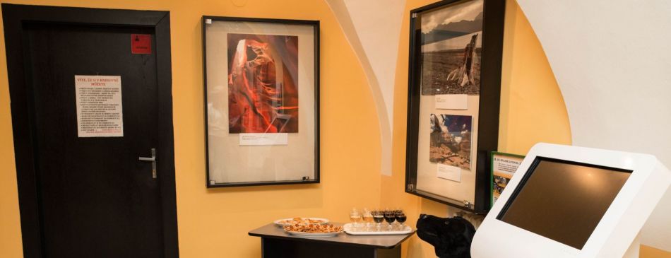 Obrázek k článku OHLASY NA VÝSTAVU FOTOGRAFIÍ V MK VALAŠSKÉ MEZIŘÍČÍ - DSC_4469
