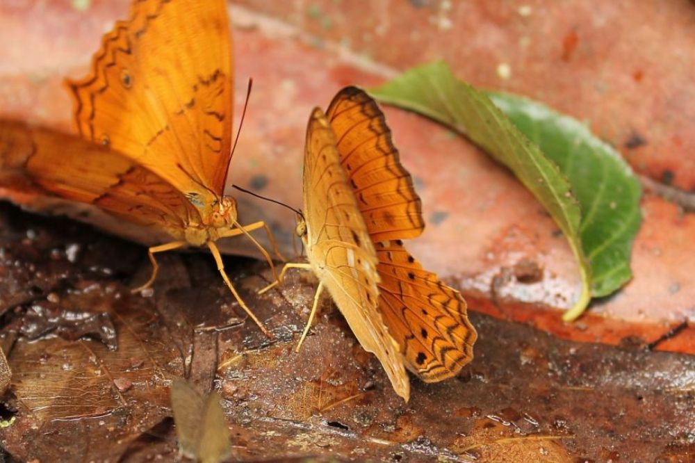 20120705-095932-IMG_6605b