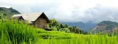 VIETNAM DOSUD NEOBJEVENÝ