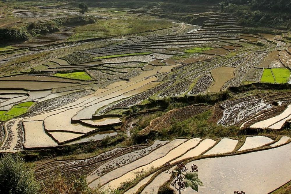 088_ lai chau