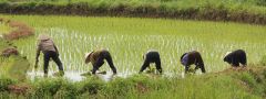 VIETNAM DOSUD NEOBJEVENÝ - NOVÁ VÝSTAVA FOTOGRAFIÍ