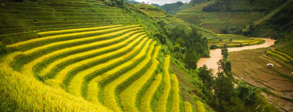 Obrázek k článku VIETNAM S VŮNÍ KORIANDRU - IMG_3537
