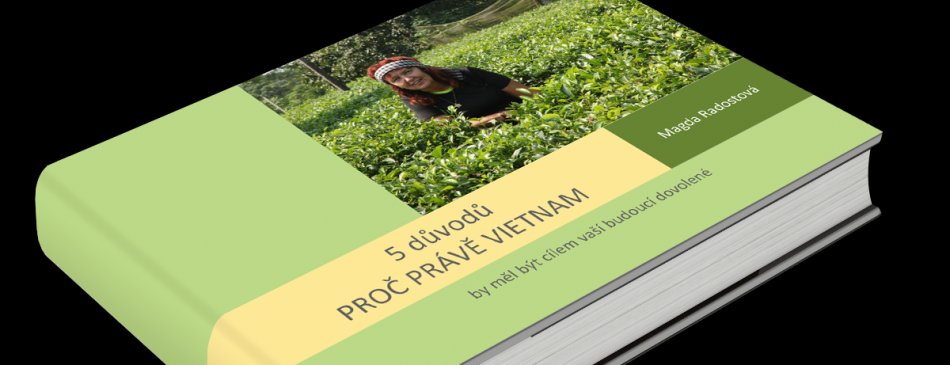 Obrázek k článku EBOOK ZDARMA - 5 DŮVODŮ PROČ PRÁVĚ VIETNAM - Vietnam 3d