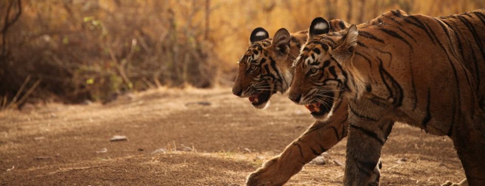 Obrázek k článku TYGR 2022 - IMG_7119