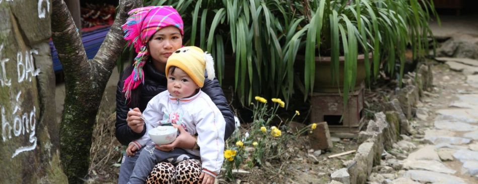 Obrázek k článku Vietnam ze severu na jih  - 045_ cat cat