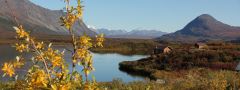 Tangle Lakes