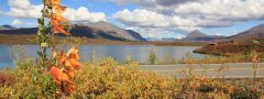 Tangle Lakes