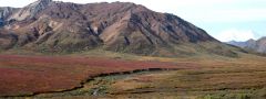 National parks