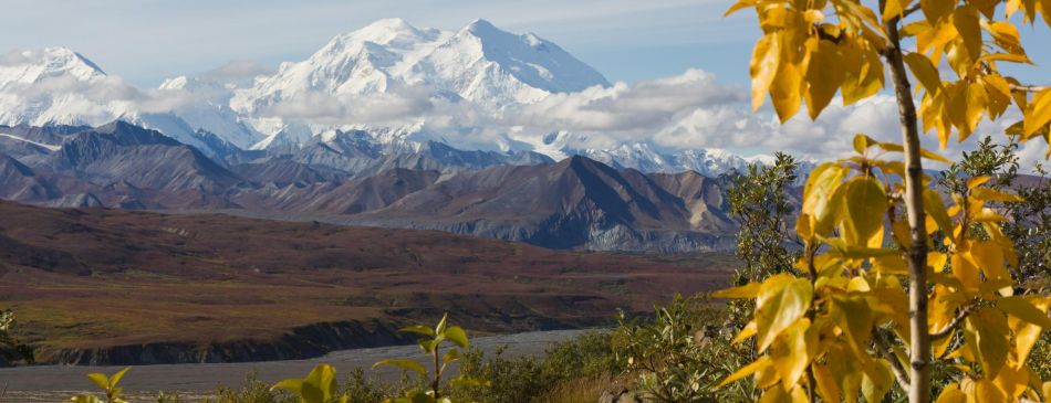 Image for article Alaska - 20110826-115424-IMG_7967r