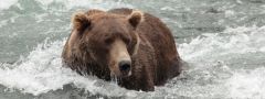 Alaska
