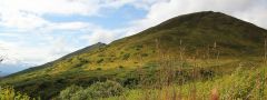 Hatcher Pass