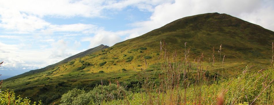 Image for article Hatcher Pass - 20110824-120002-IMG_1204a