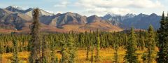 Alaska