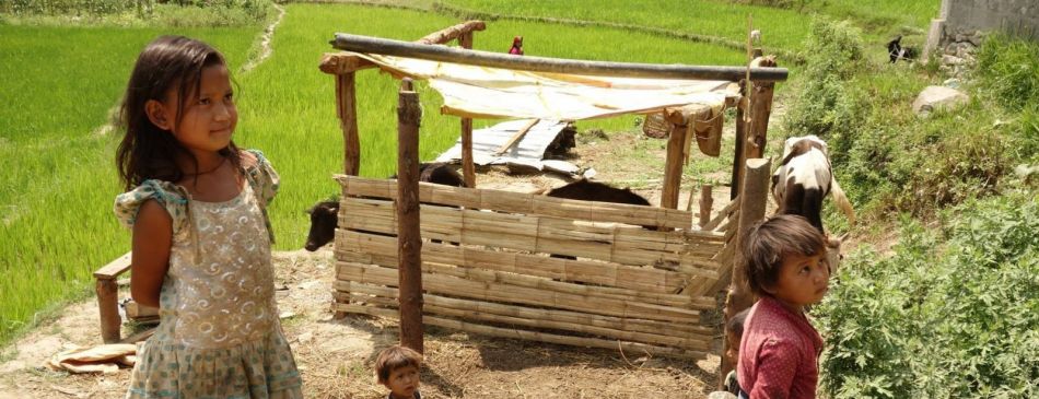 Obrázek k článku Nep&aacute;l - zemětřesen&iacute;, humanit&aacute;rn&iacute; sb&iacute;rka - 10458960_10153389800957941_7371317820612672330_o